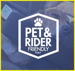 Pet and Rider Friendly